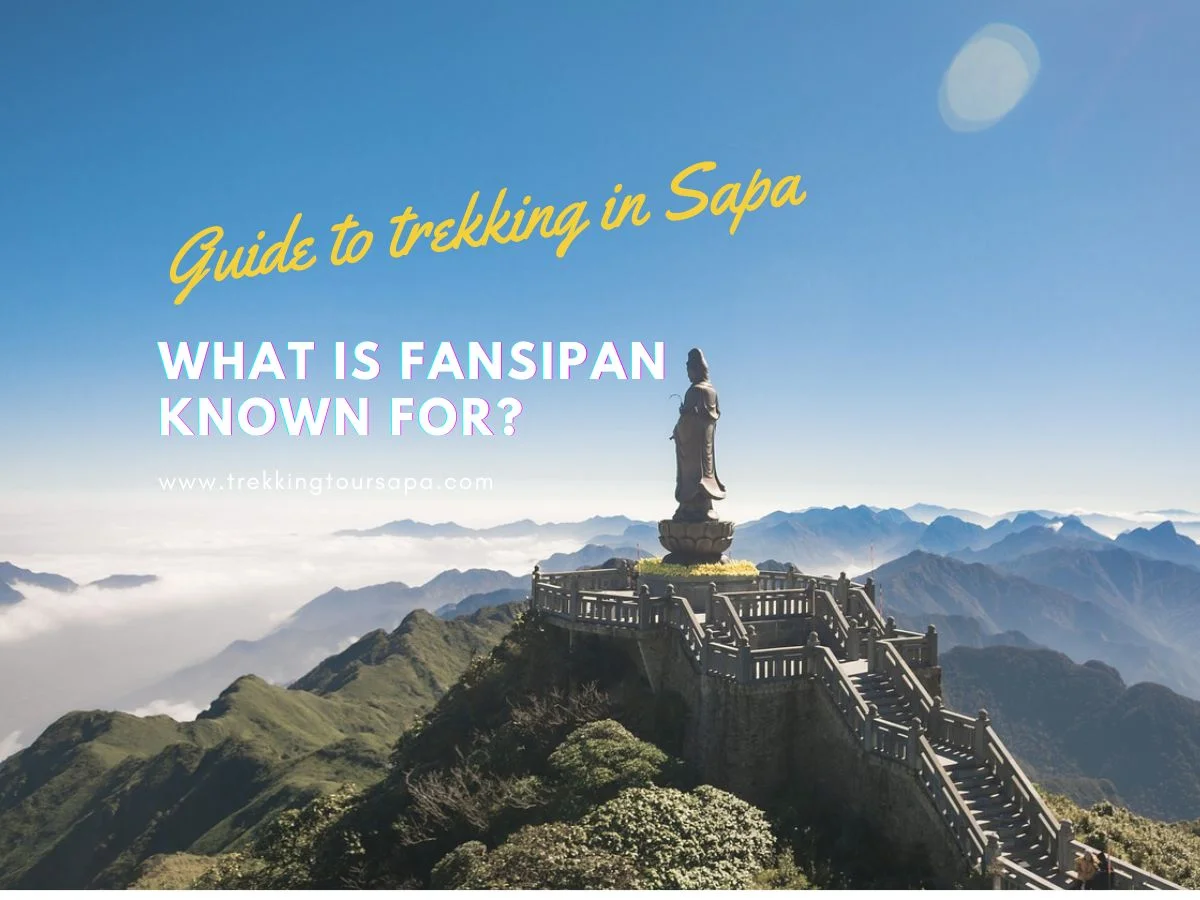 what is fansipan known for