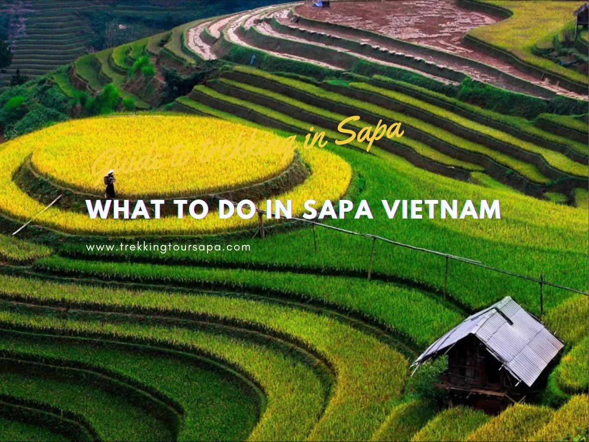 what to do in sapa vietnam