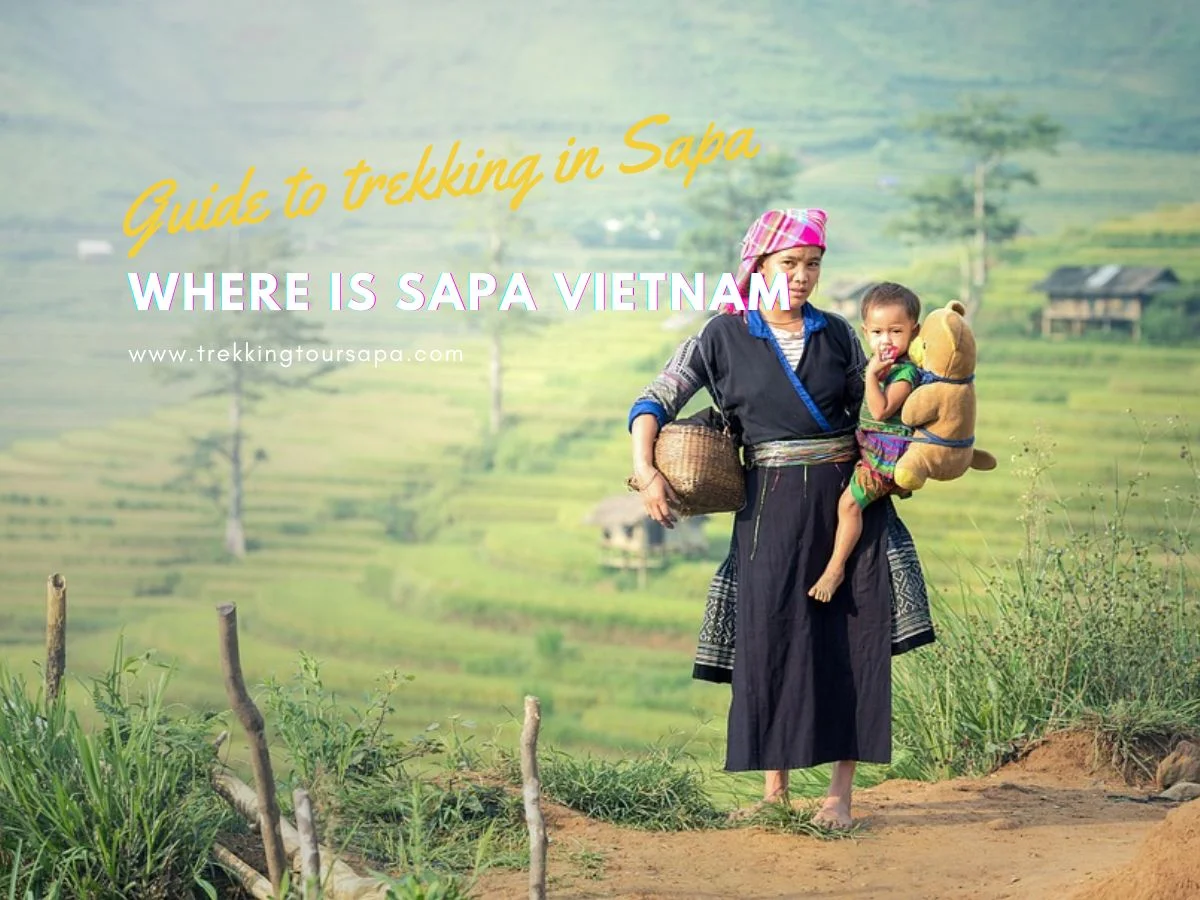 where is sapa vietnam