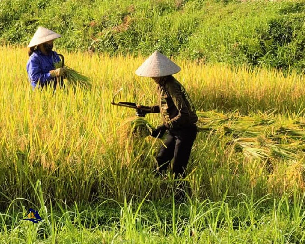 Discover the Best Hotels in Ninh Binh, Vietnam 28 8 1