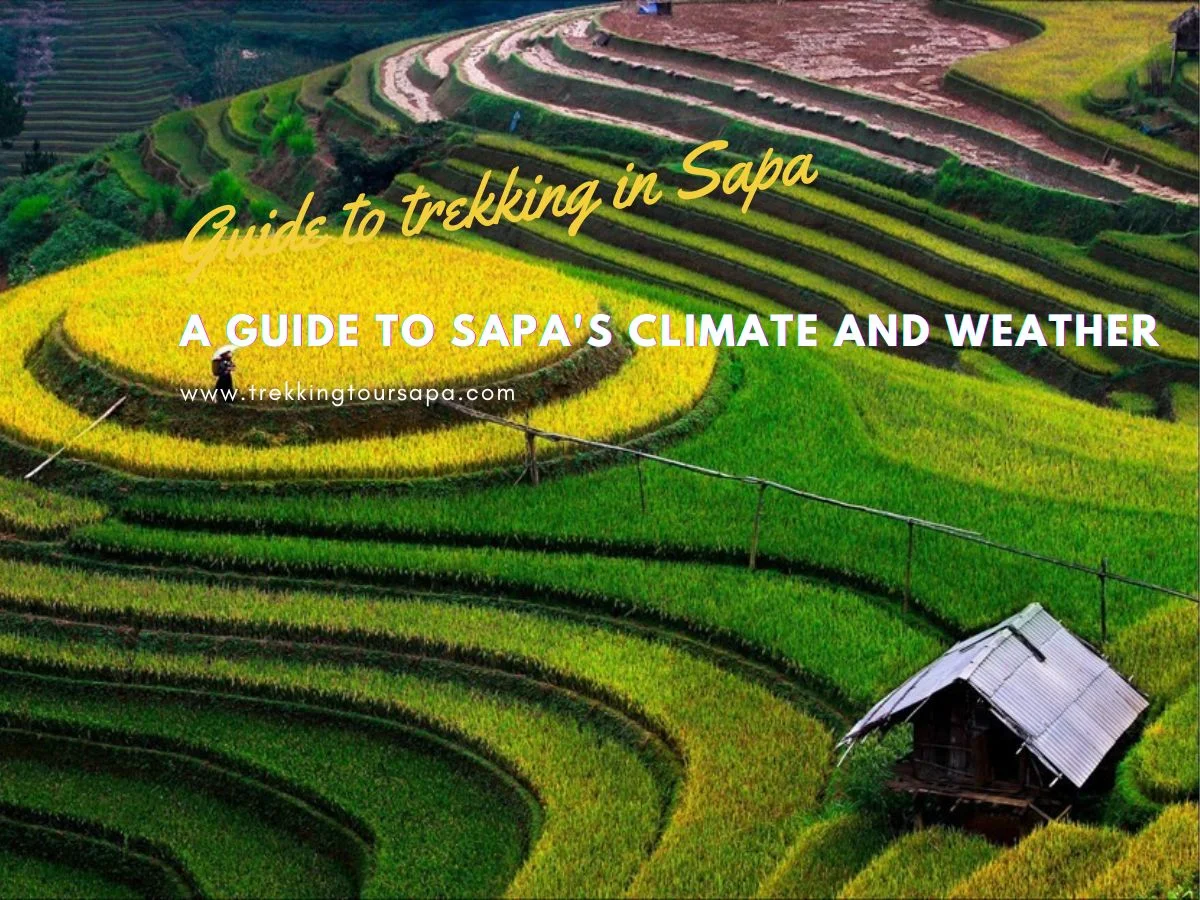 A Guide To Sapa's Climate And Weather