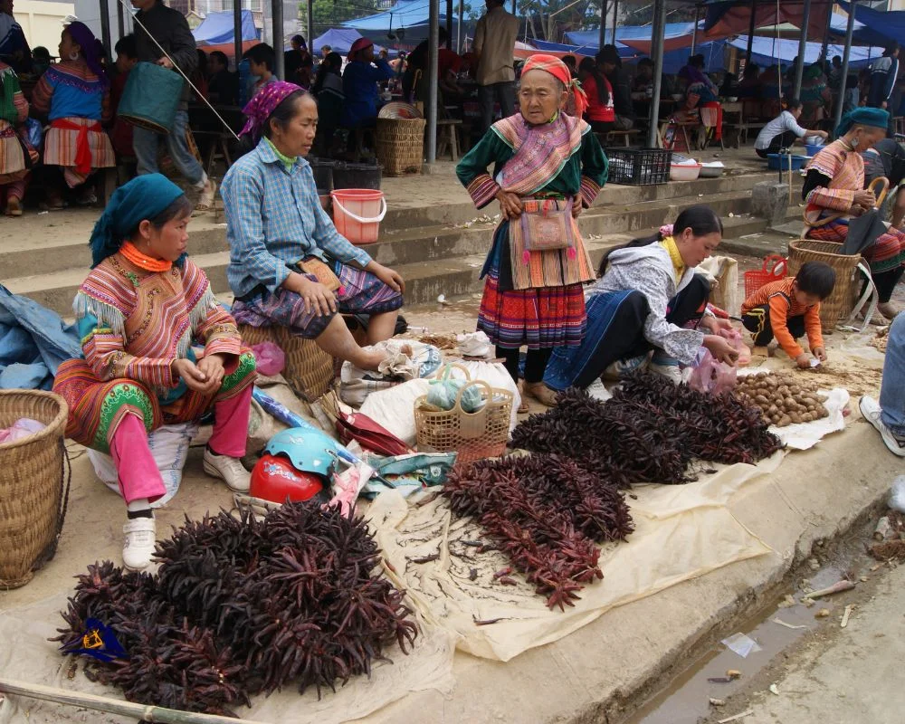 Bac Ha