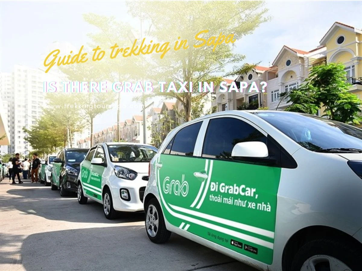Is There Grab Taxi In Sapa
