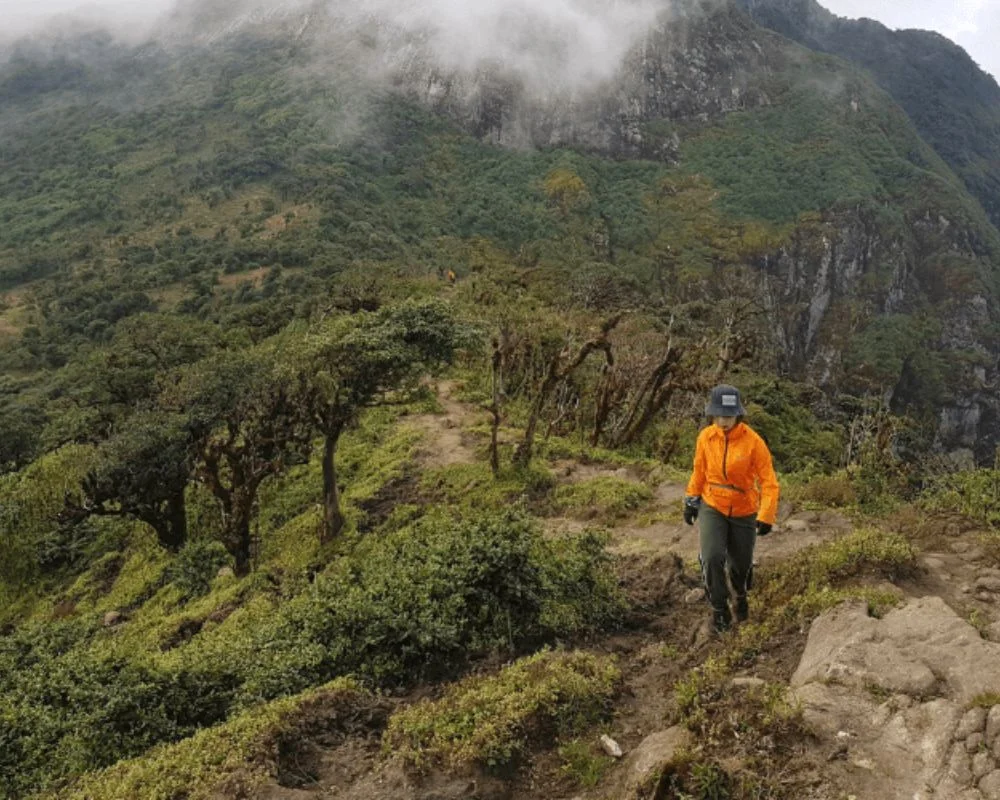 Mountain paths to the highest peaks