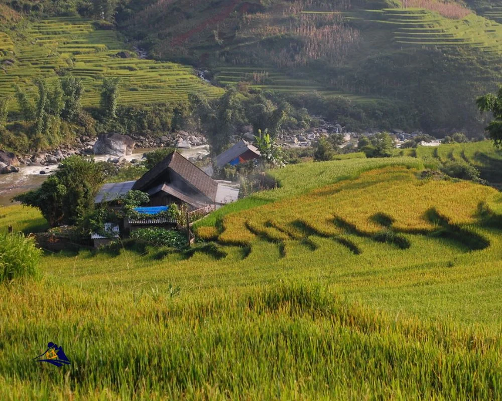 Sapa View