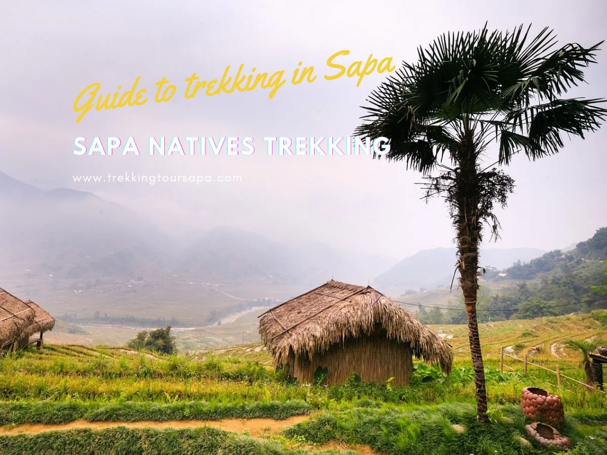 Sapa Natives Trekking