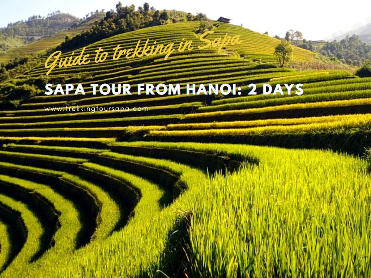 Sapa Tour From Hanoi: 2 Days