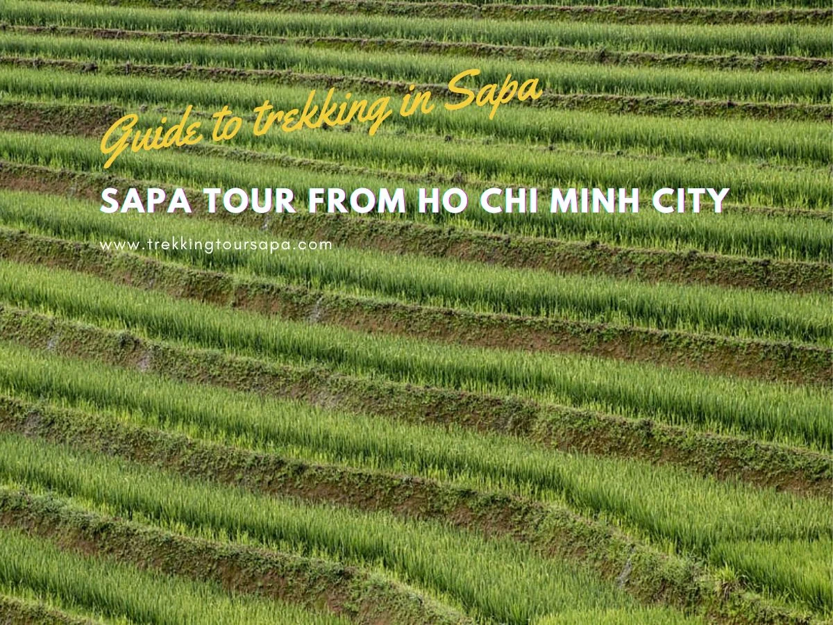 Sapa Tour From Ho Chi Minh City