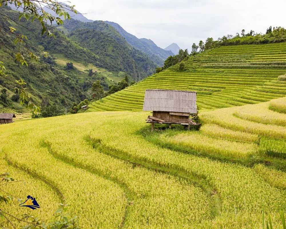 Sapa Overview Tour