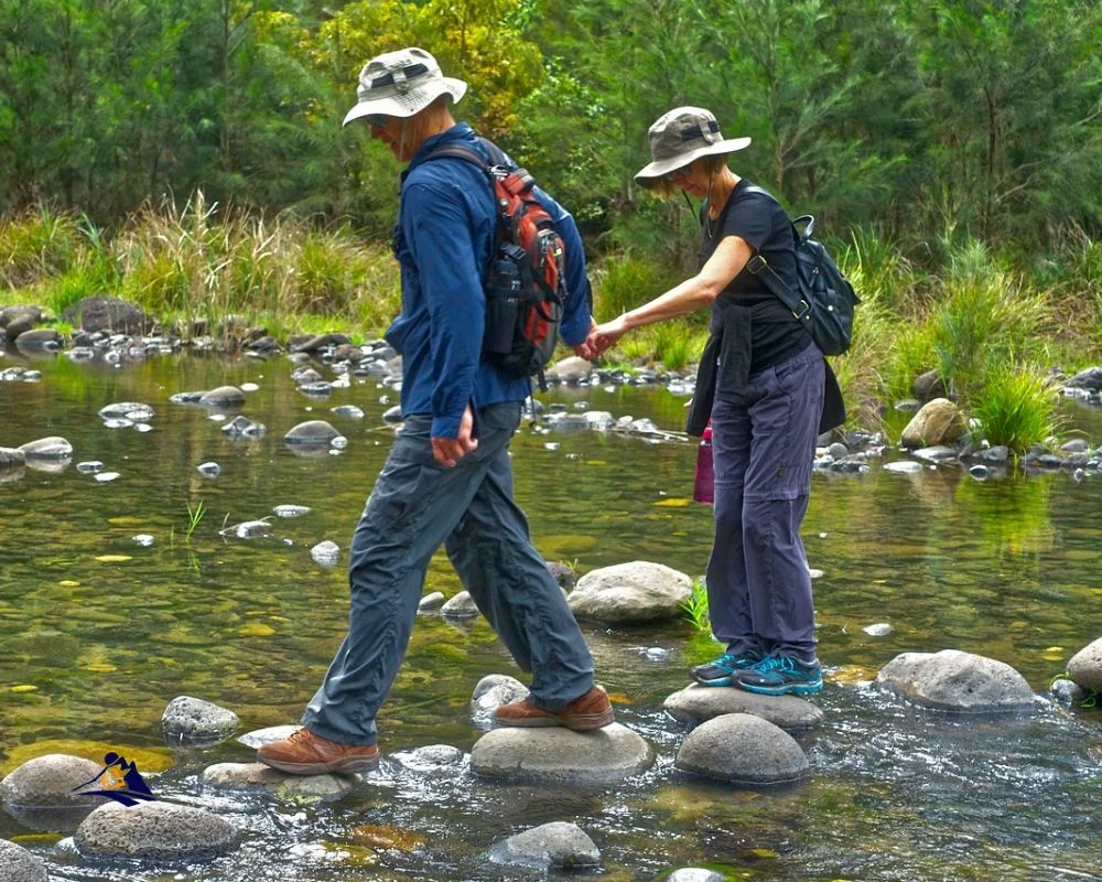 Trekking Networking