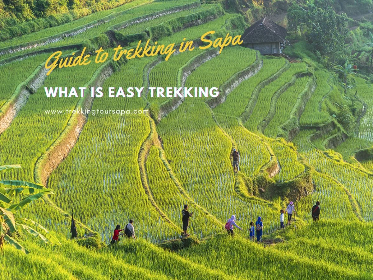 What Is Easy Trekking