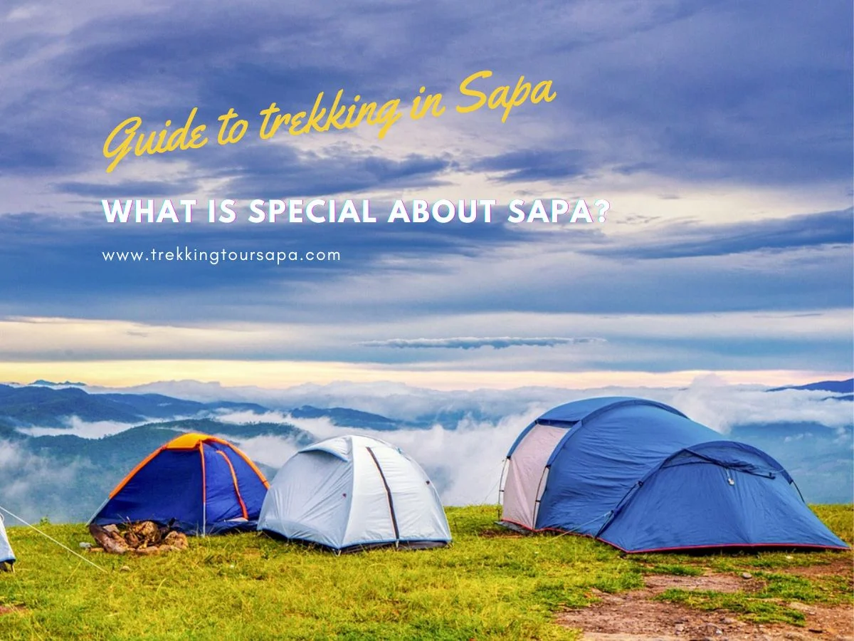 What Is Special About Sapa