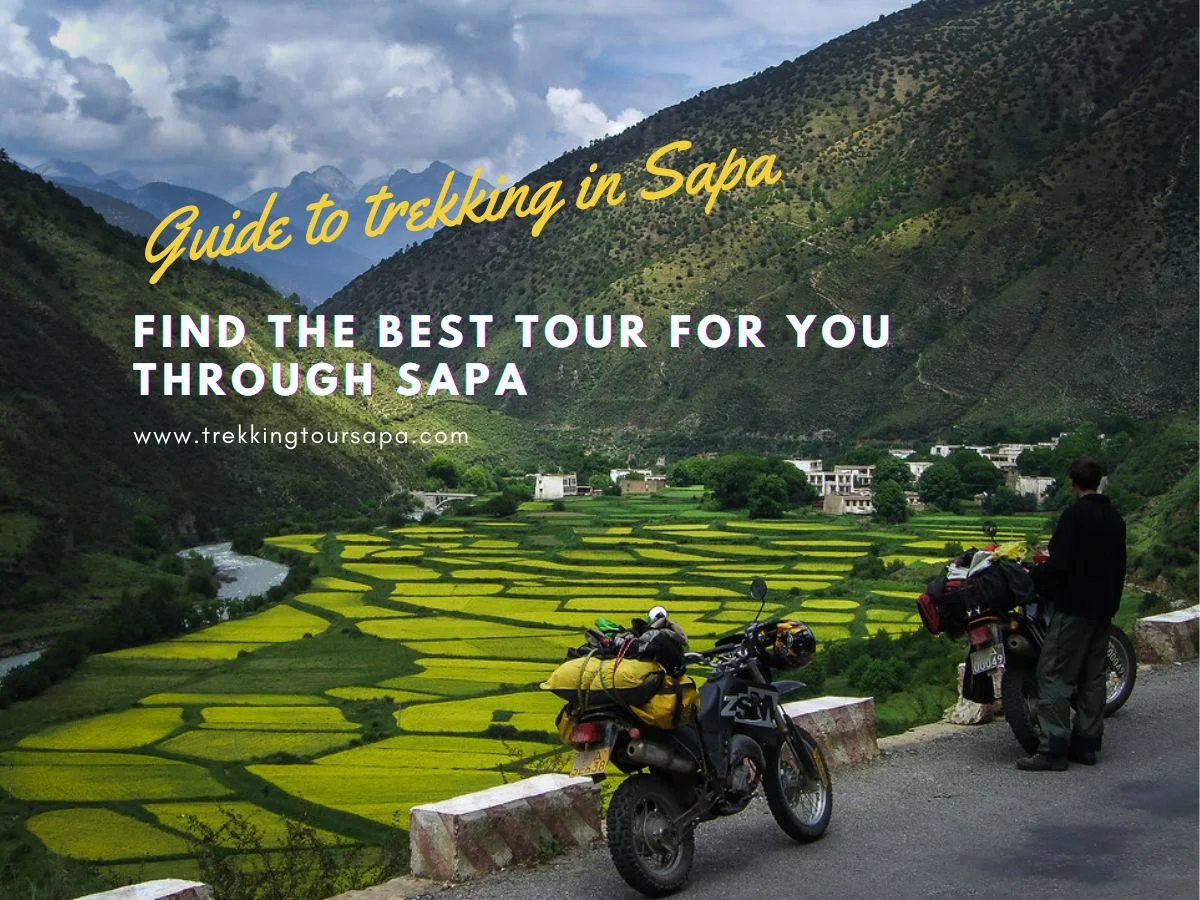 find the best tour for you through sapa