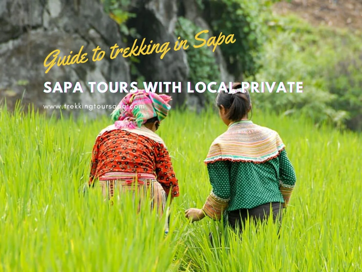 sapa tours with local private