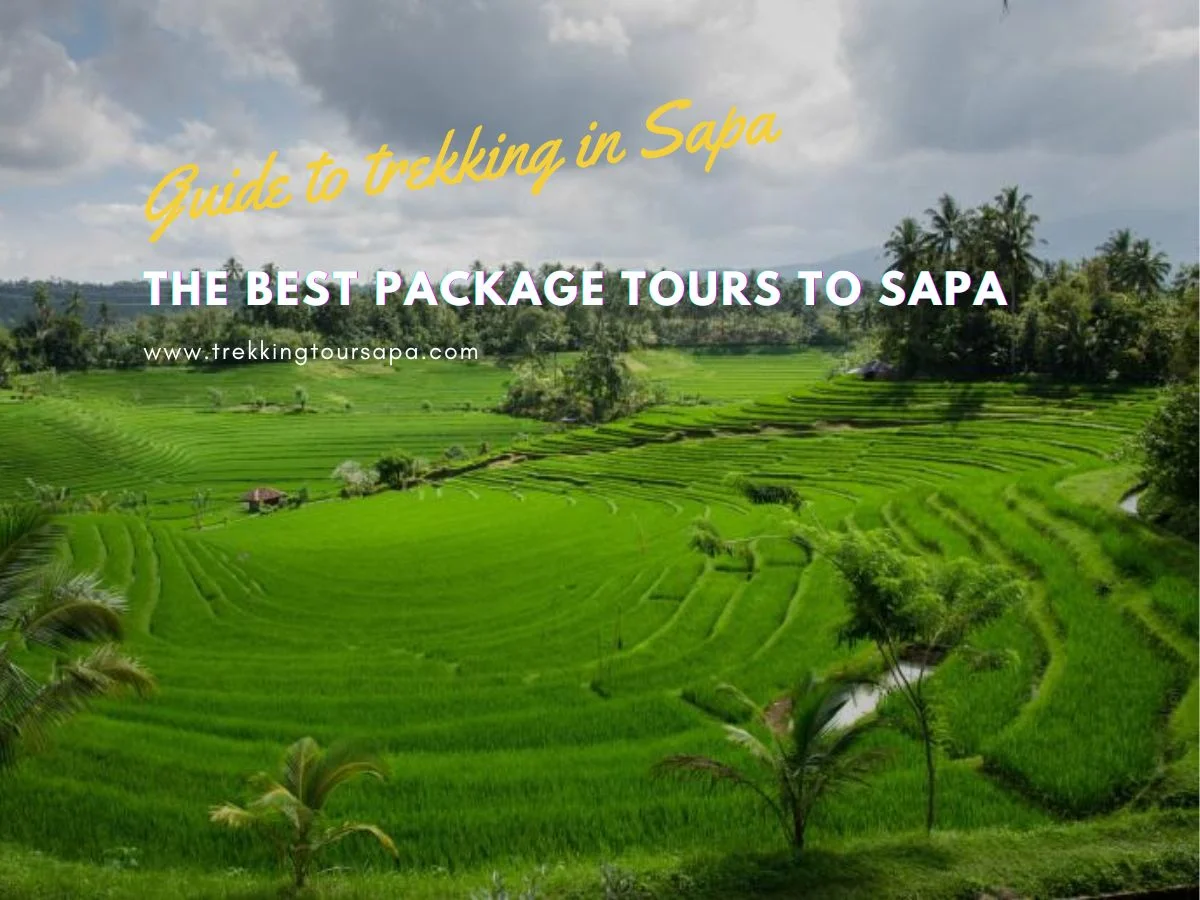 the best package tours to sapa