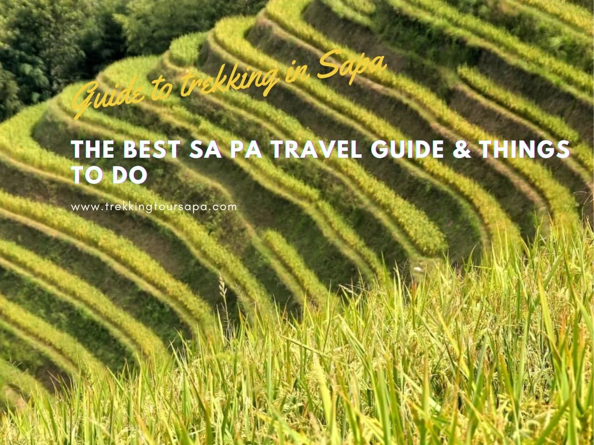 the best sa pa travel guide & things to do