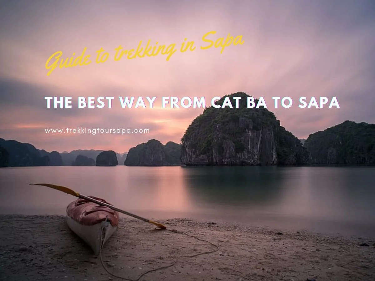 the best way from cat ba to sapa
