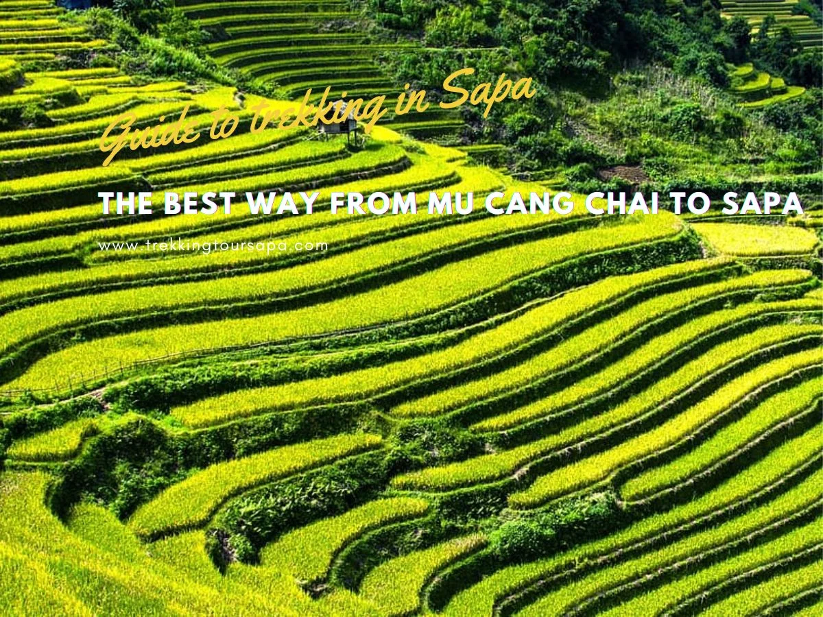 the best way from mu cang chai to sapa