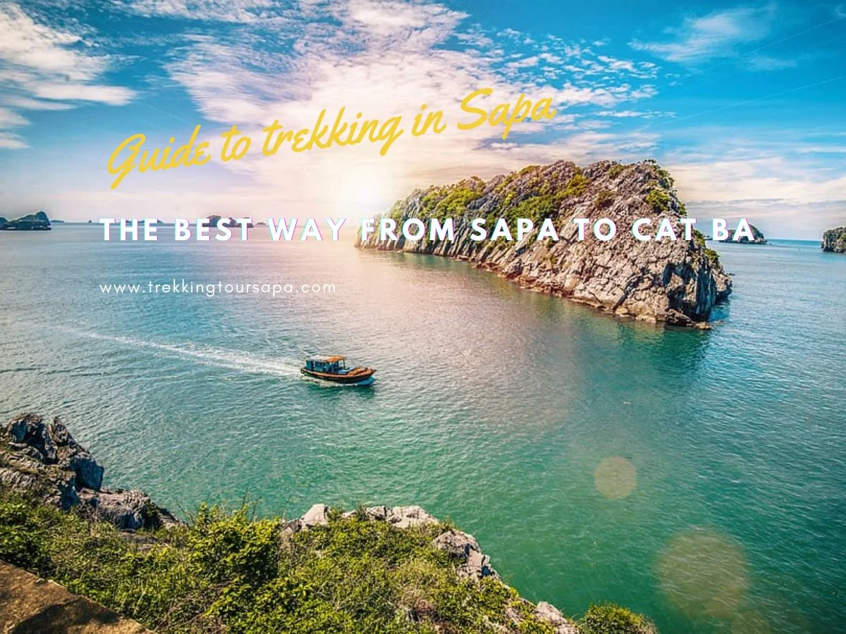 the best way from sapa to cat ba