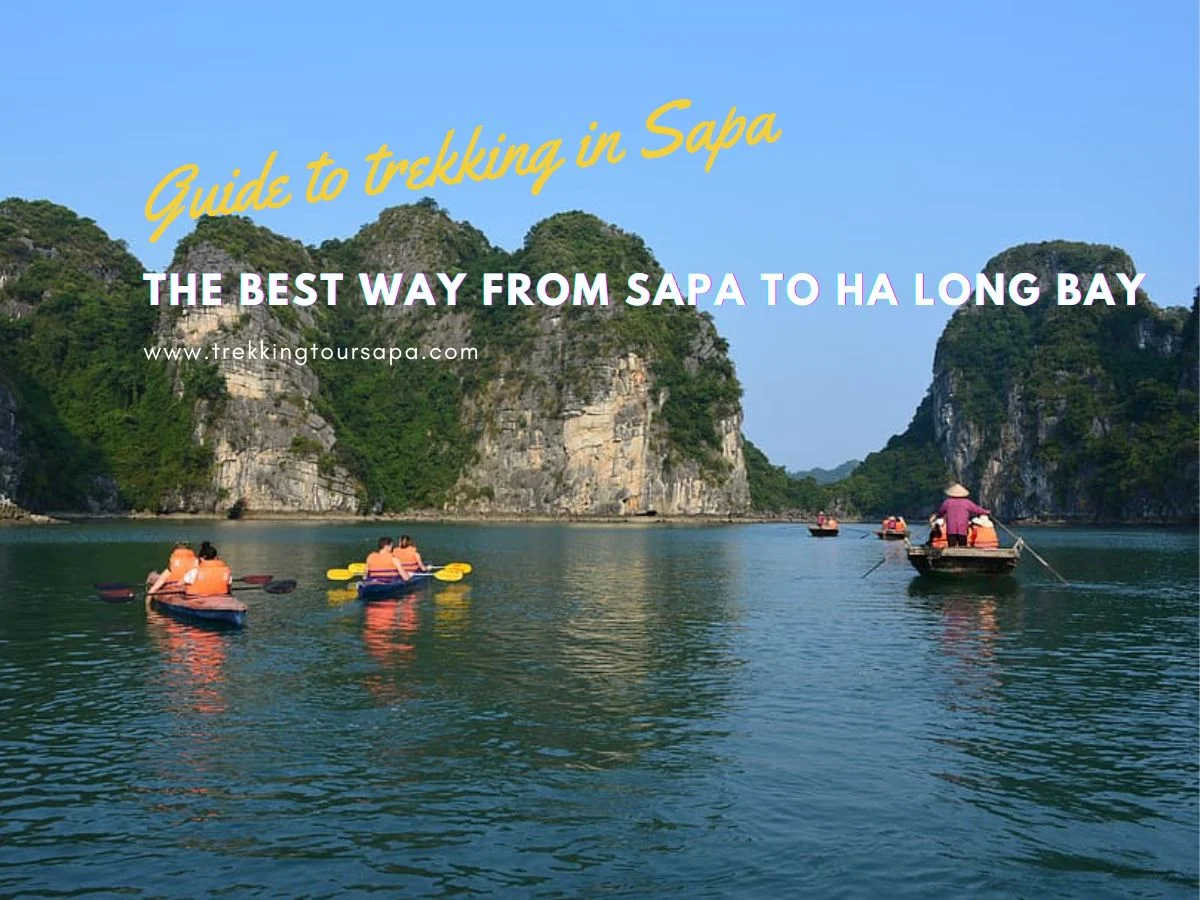 the best way from sapa to ha long bay