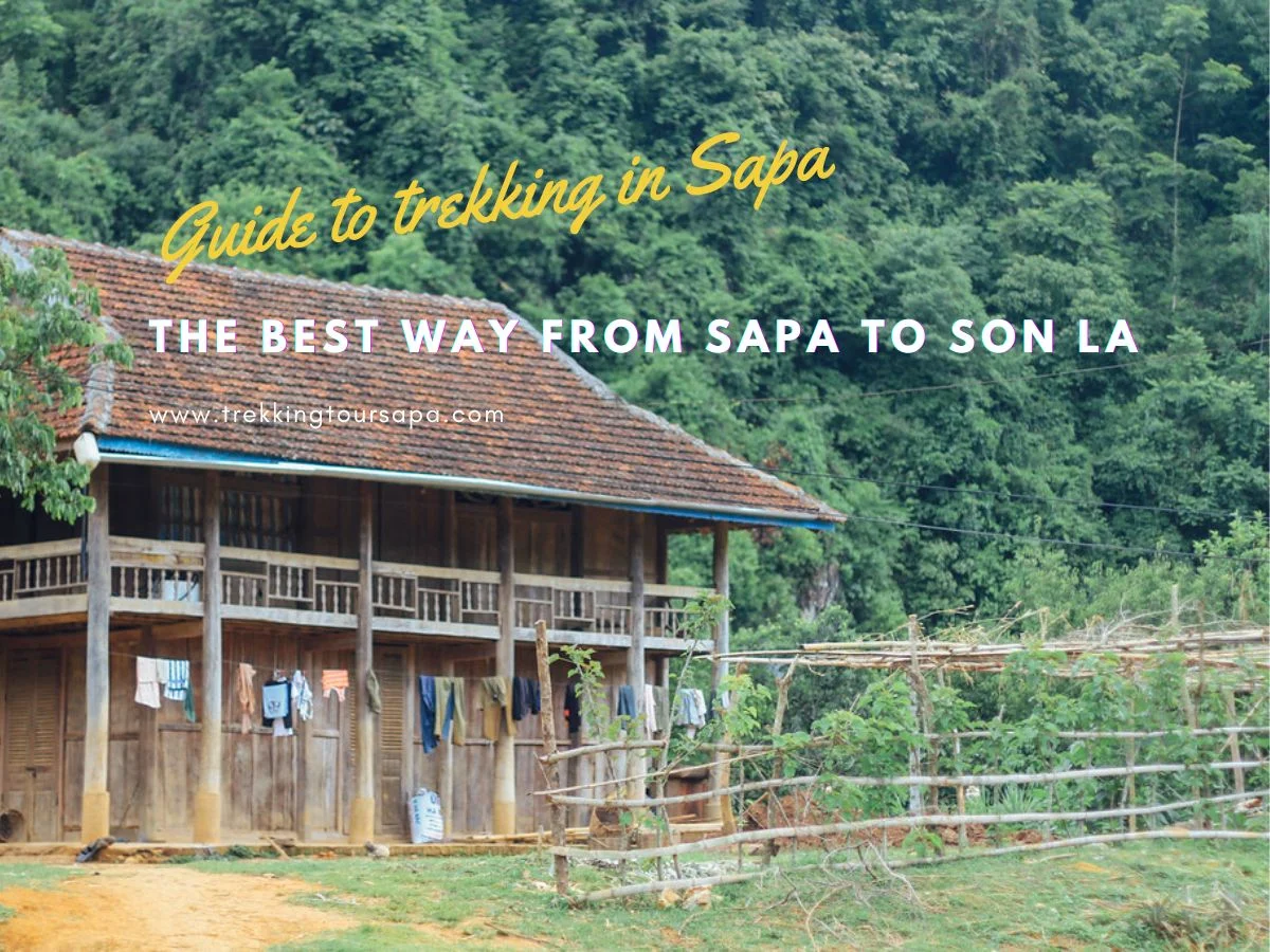 the best way from sapa to son la