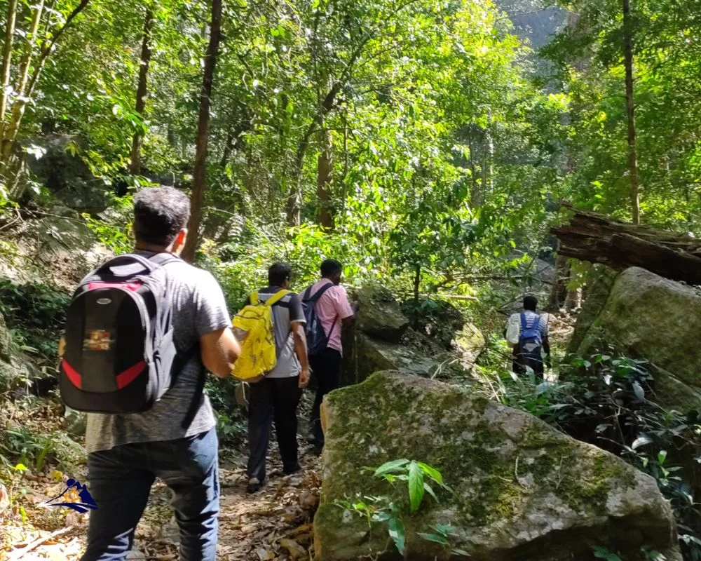 Trekking Tour