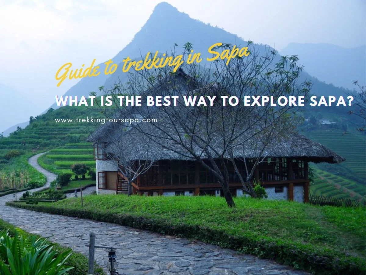what is the best way to explore sapa
