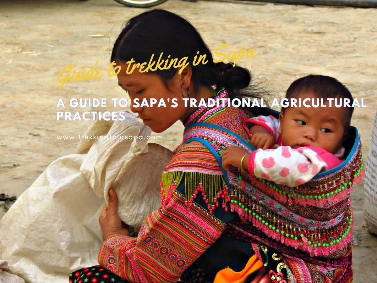 A Guide To Sapa's Ethical And Sustainable Tourism Options