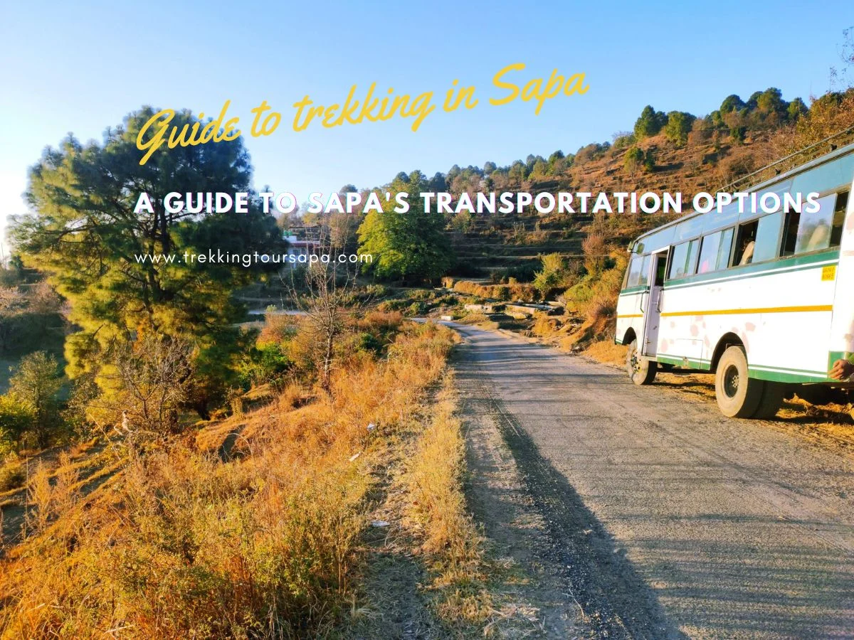 A Guide To Sapa's Transportation Options