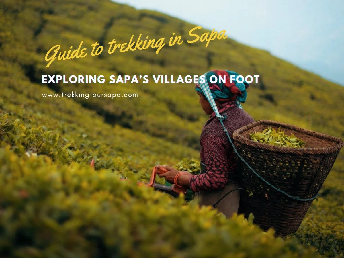 Exploring Sapa’s Villages On Foot