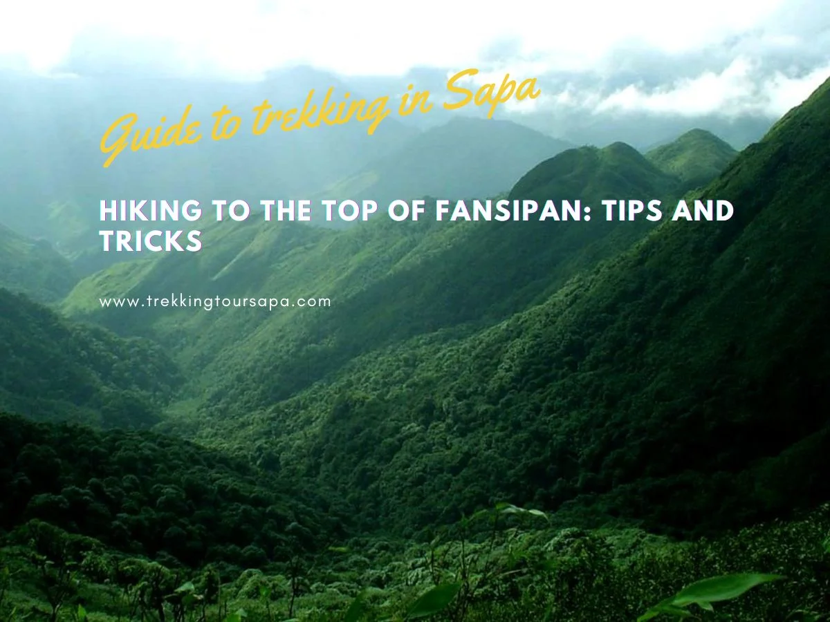 Hiking To The Top Of Fansipan_ Tips And Tricks