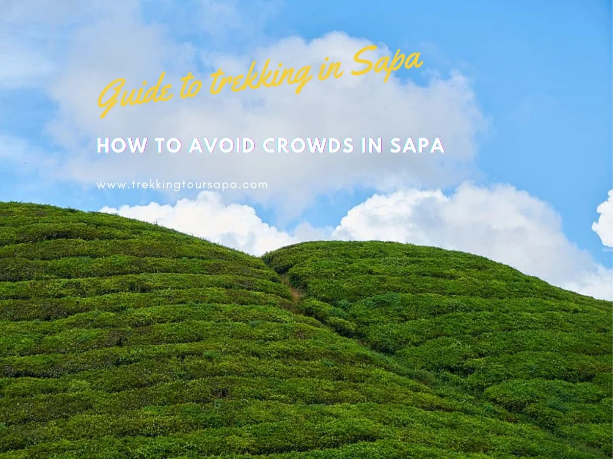 How To Avoid Crowds In Sapa