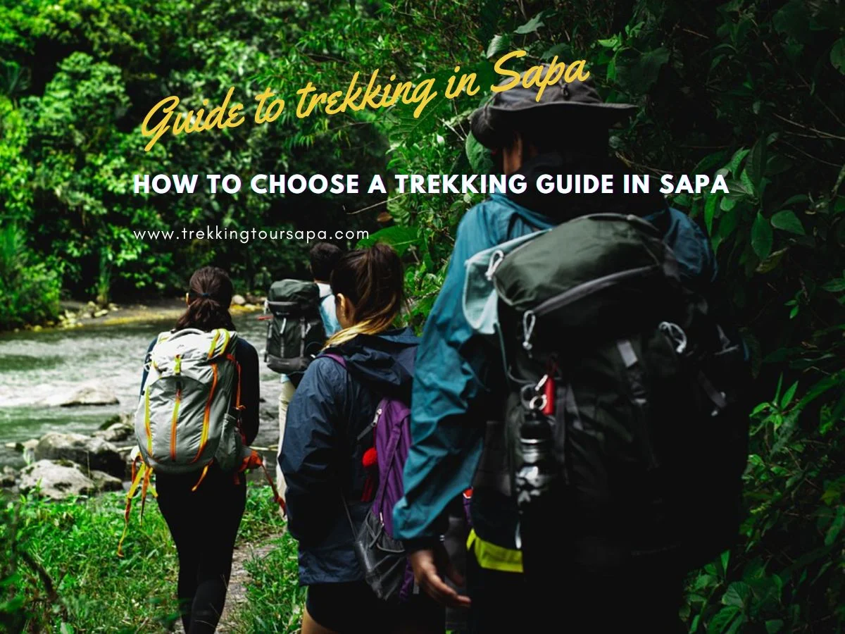 How To Choose A Trekking Guide In Sapa