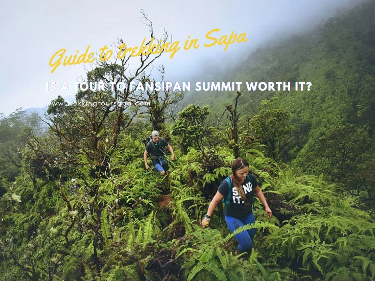 Is A Tour To Fansipan Summit Worth It