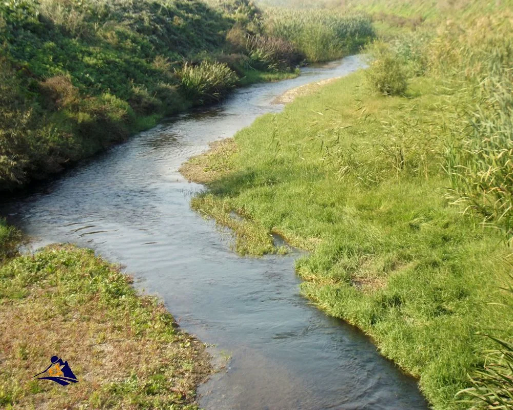 Muong Hoa Stream