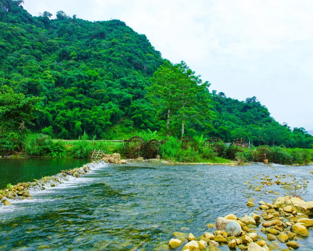 Muong Hoa Stream 1