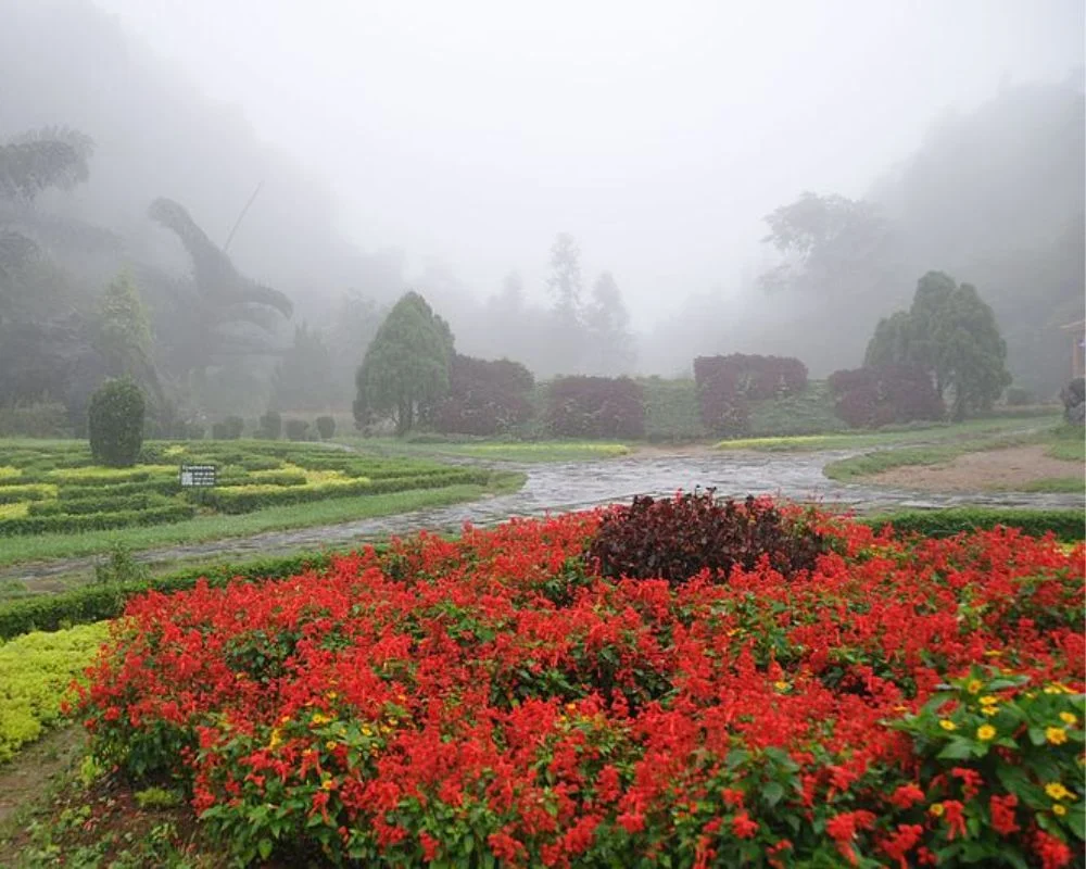 Sapa Botanical Garden