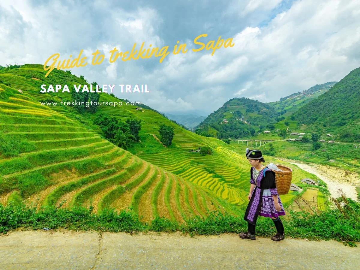 Sapa Valley Trail Discover Vietnam's Breathtaking Landscapes And