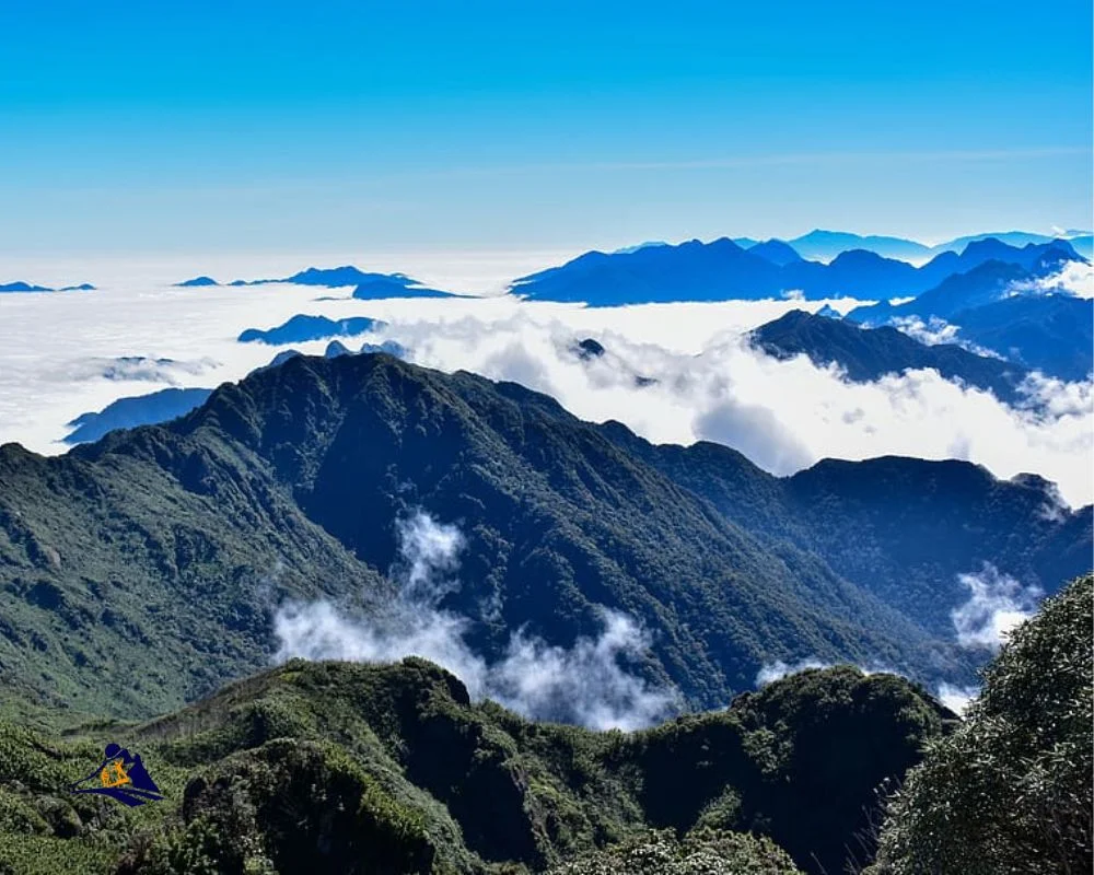 Sapa Overview Rock Fields