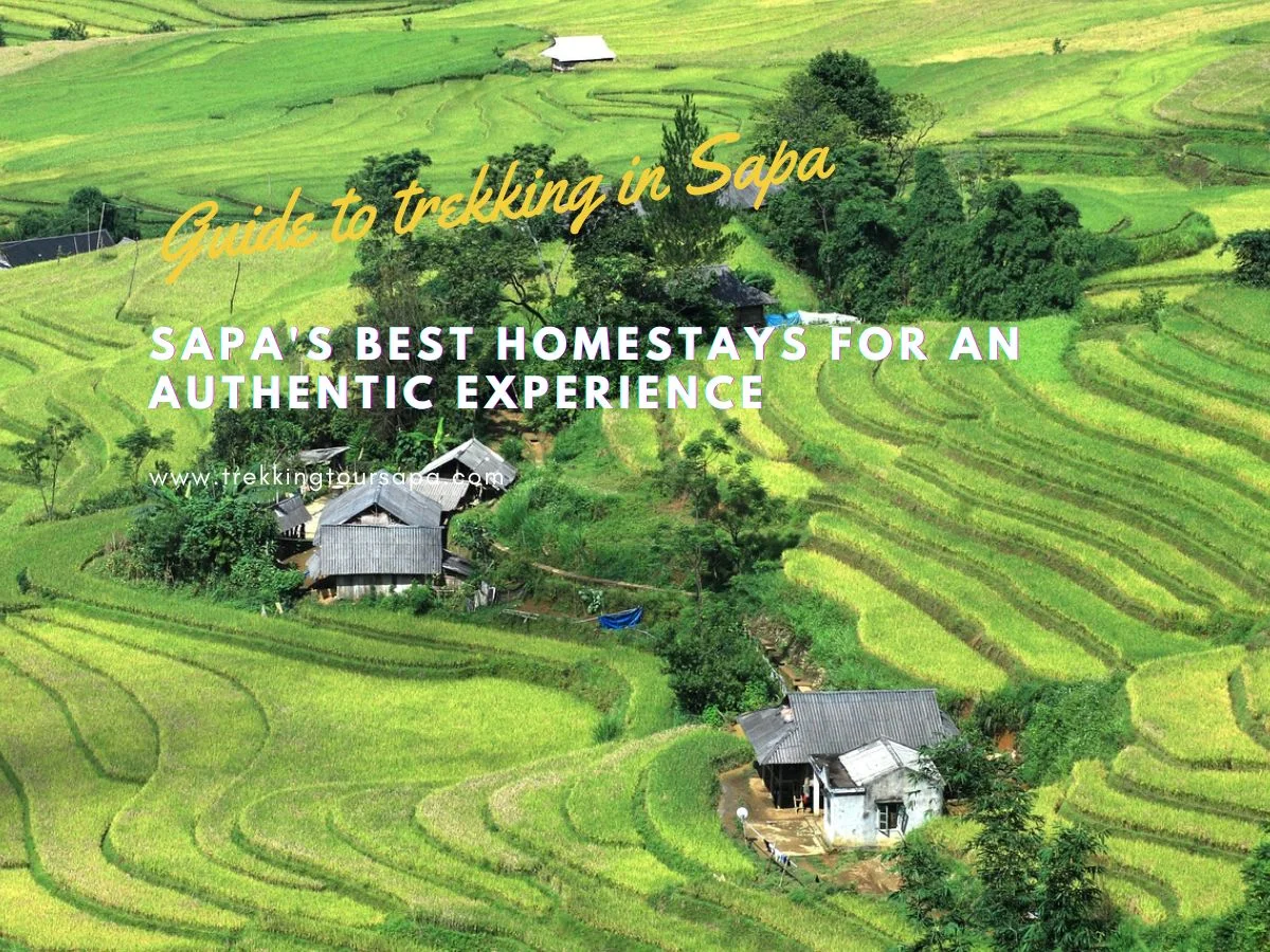 Sapa's Best Homestays For An Authentic Experience