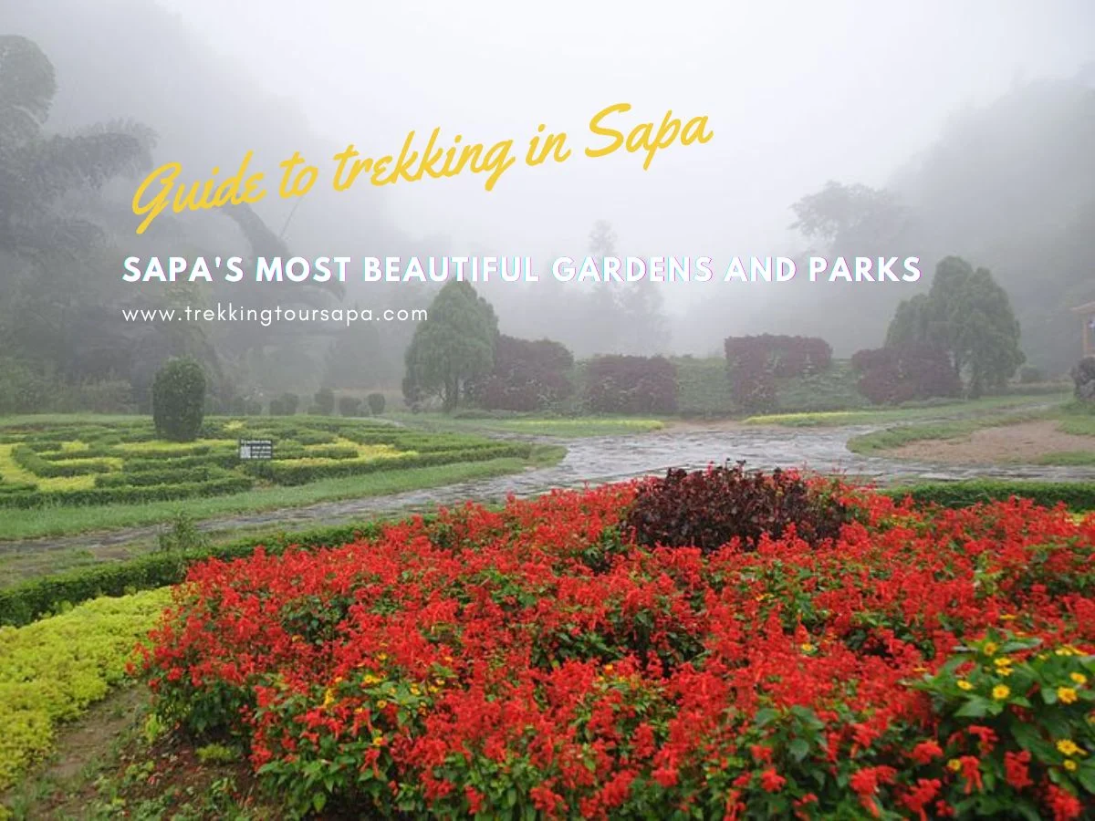 Sapa's BestSapa's Most Beautiful Gardens And Parks Luxury Hotels And Resorts