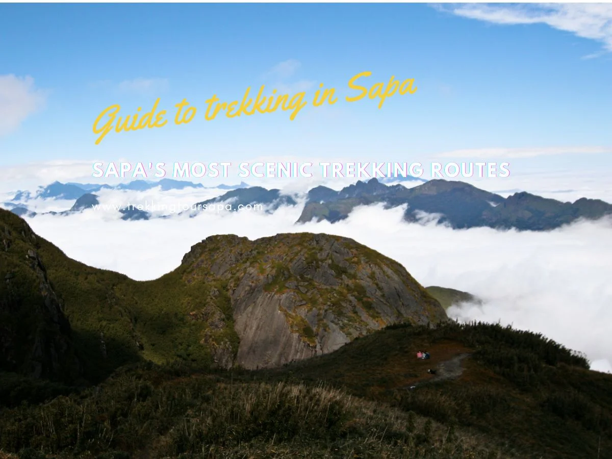 Sapa's Most Scenic Trekking Routes
