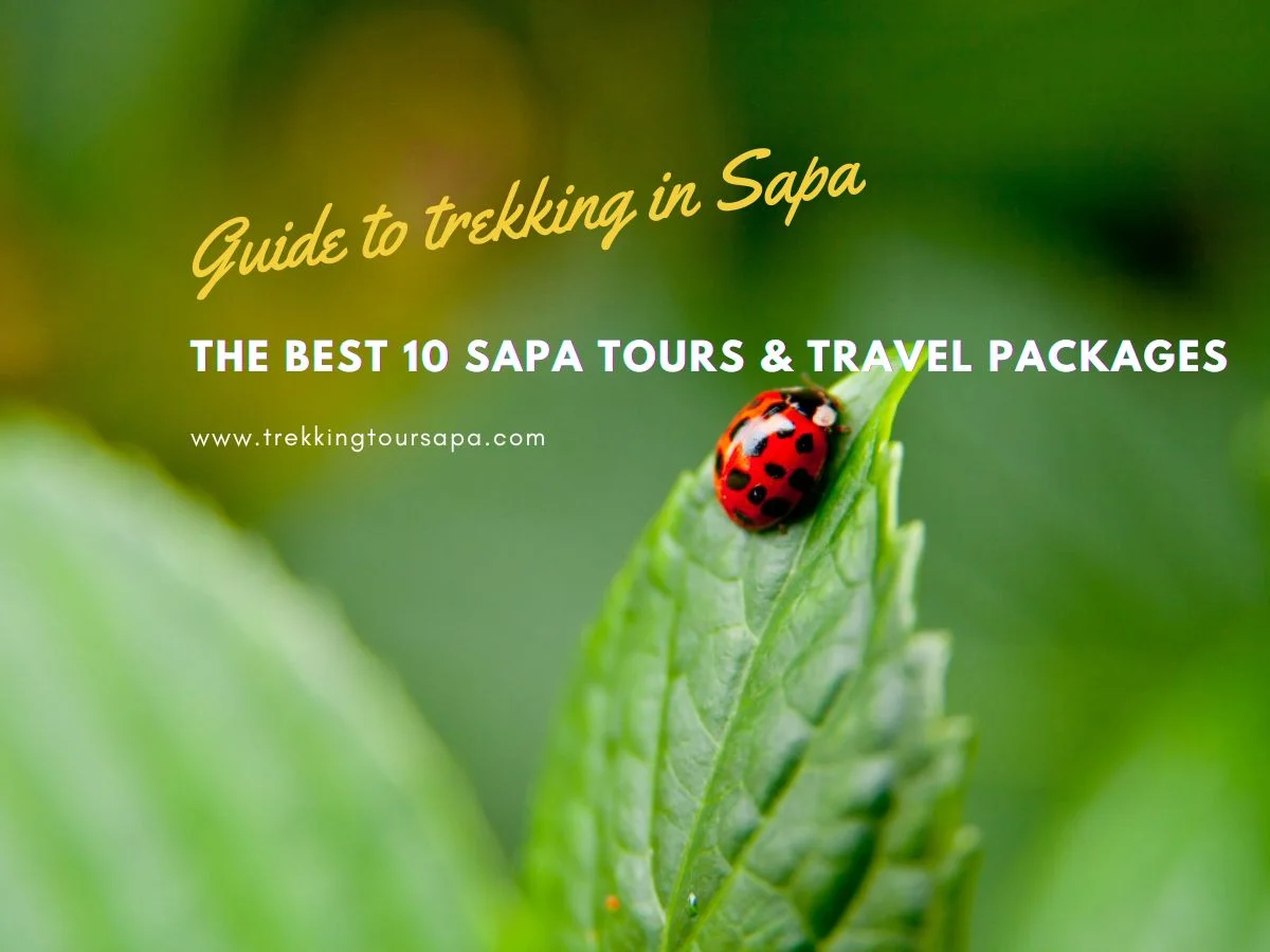 The Best 10 Sapa Tours & Travel Packages