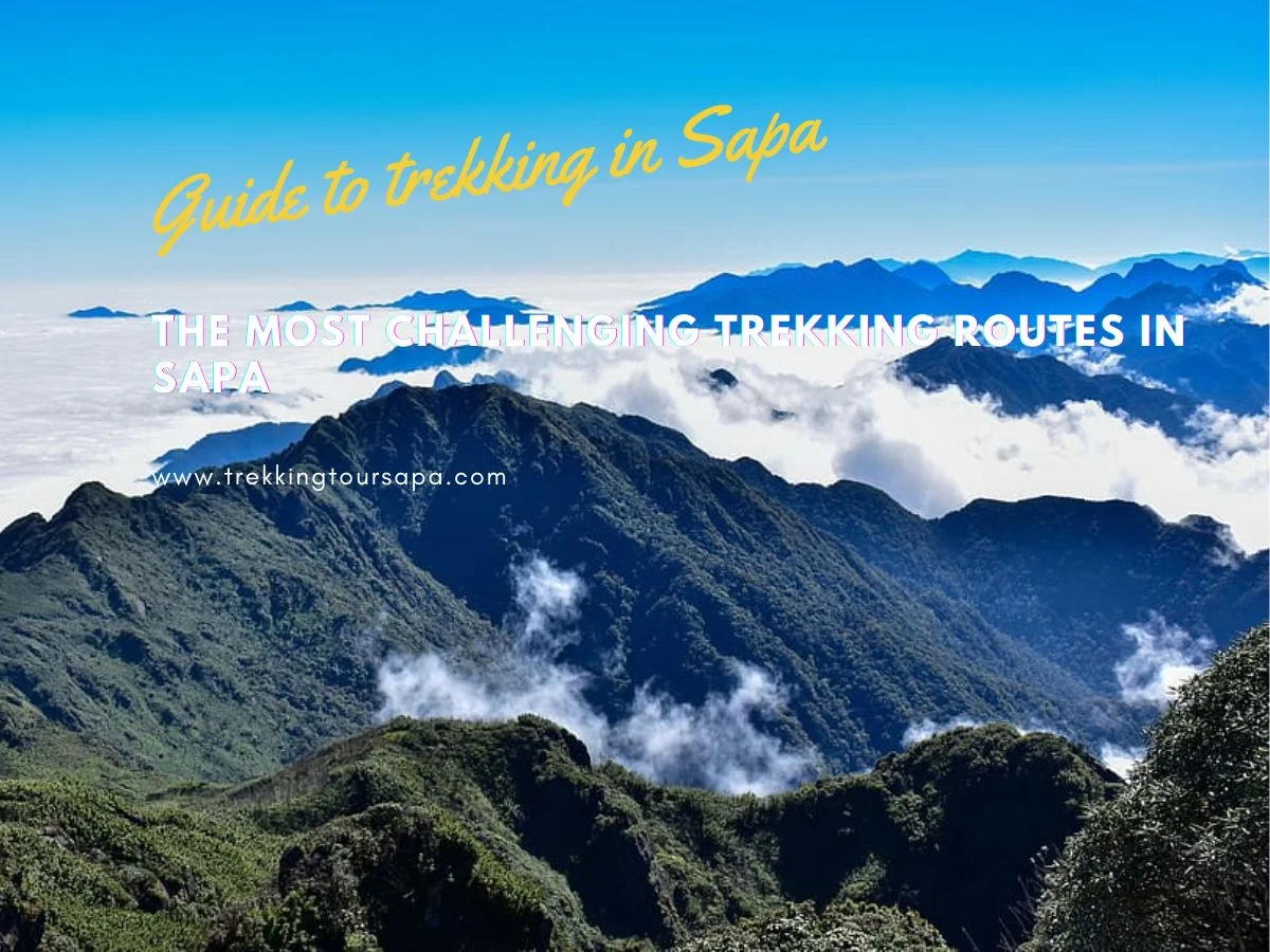 The Most Challenging Trekking Routes In Sapa