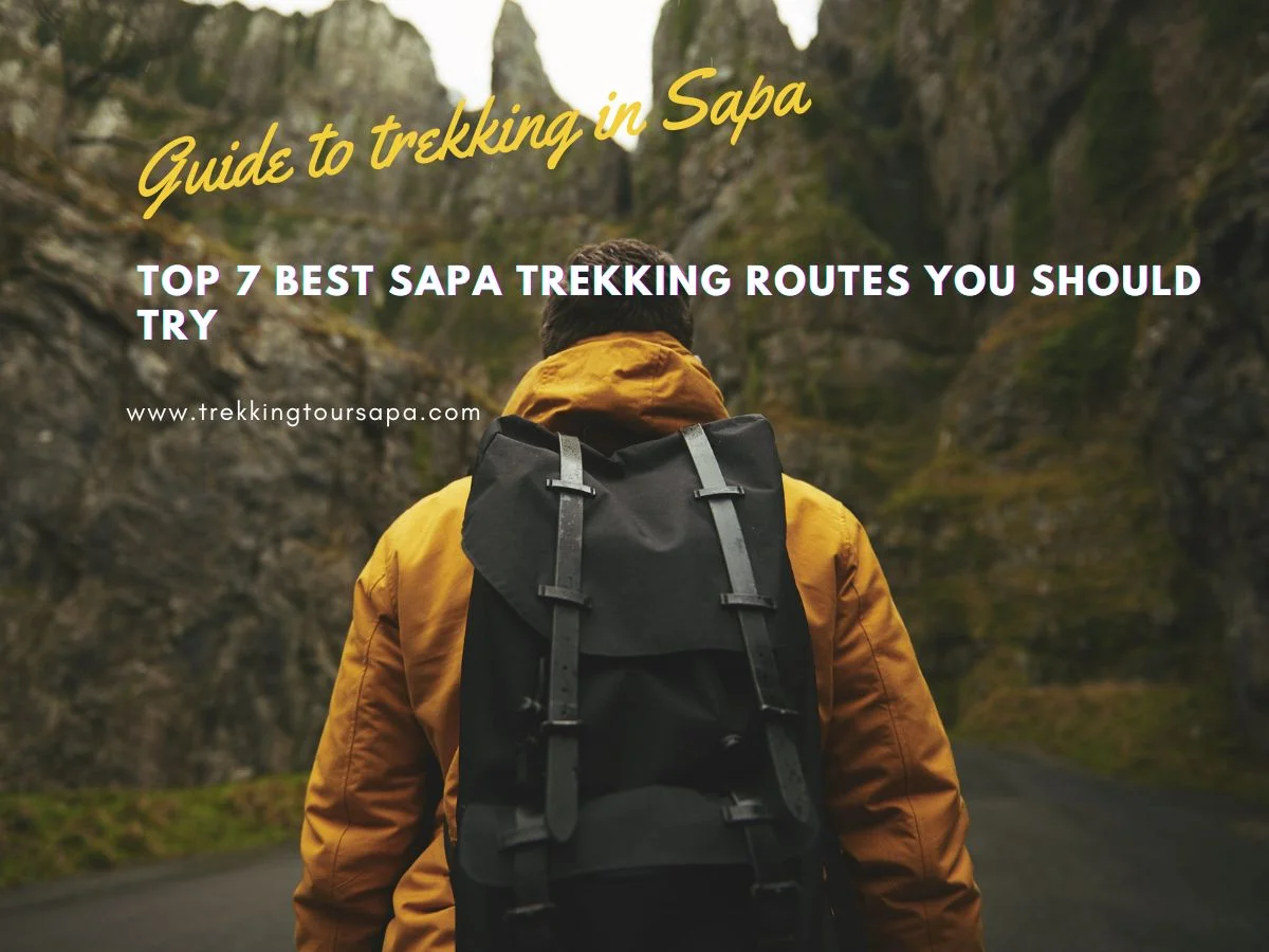 Top 7 Best Sapa Trekking Routes You Should Try