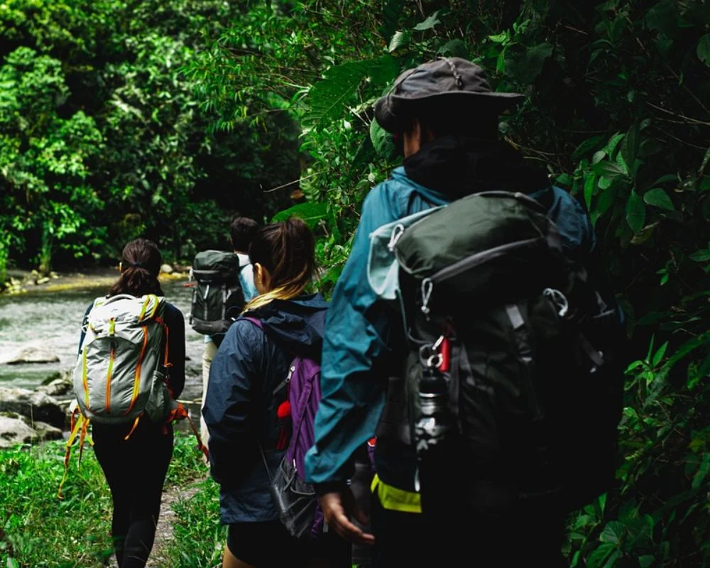 Group Of People Is Trekking In The Forest