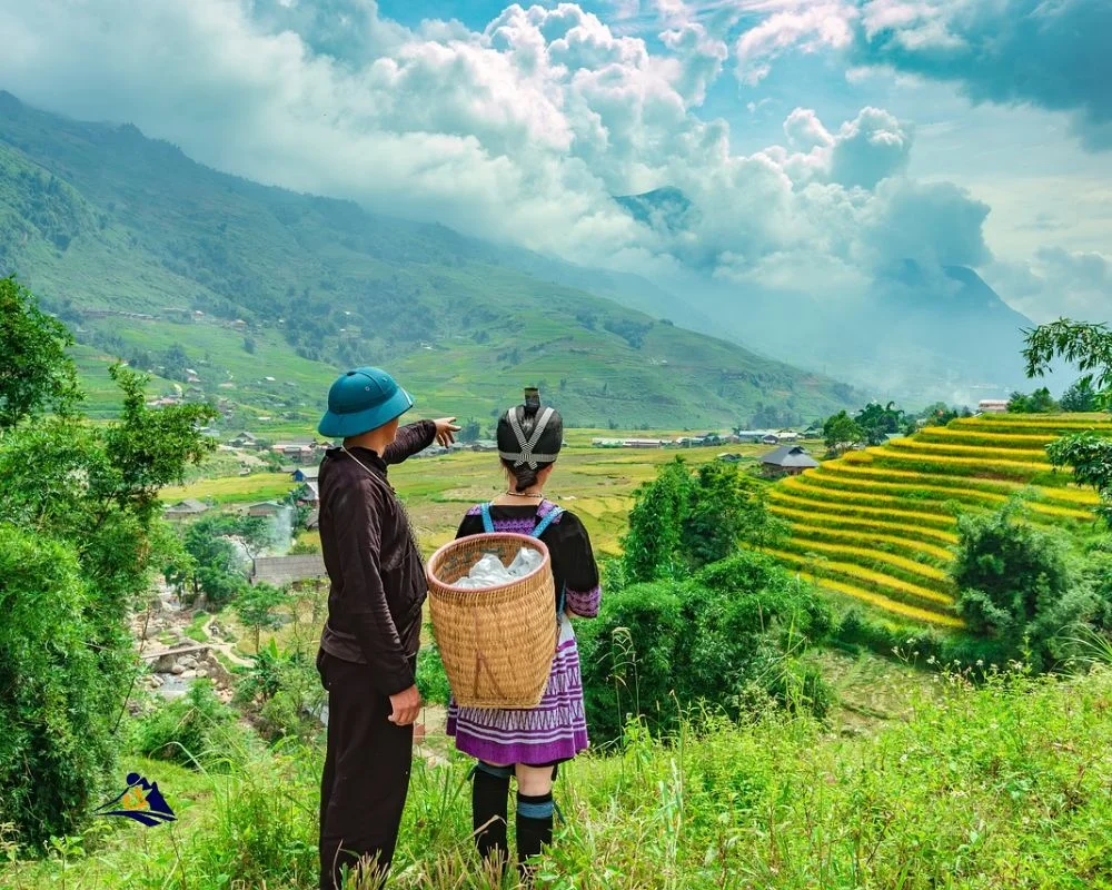 Hmong With Their Traditional Clothes In The Rice Field
