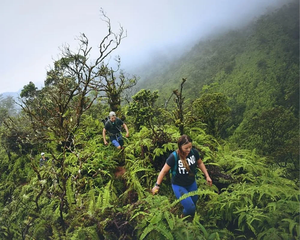 People Are Trekking