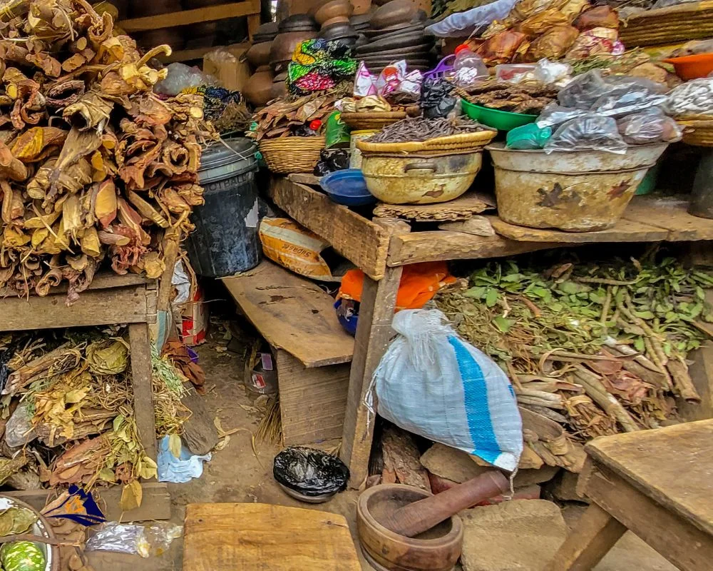 Roots For Herbal Medicine