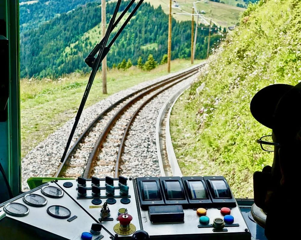 train view